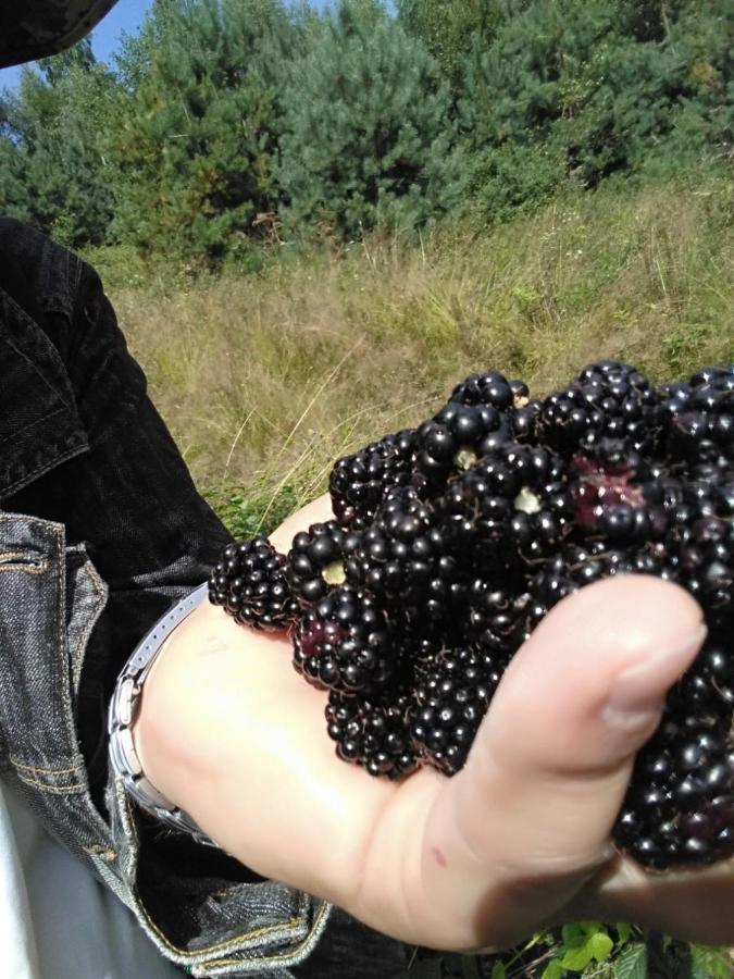 Yasna Sadyba Yasenitsa Zamkova Esterno foto
